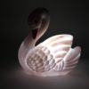 Luz noche cisne - Imagen 4
